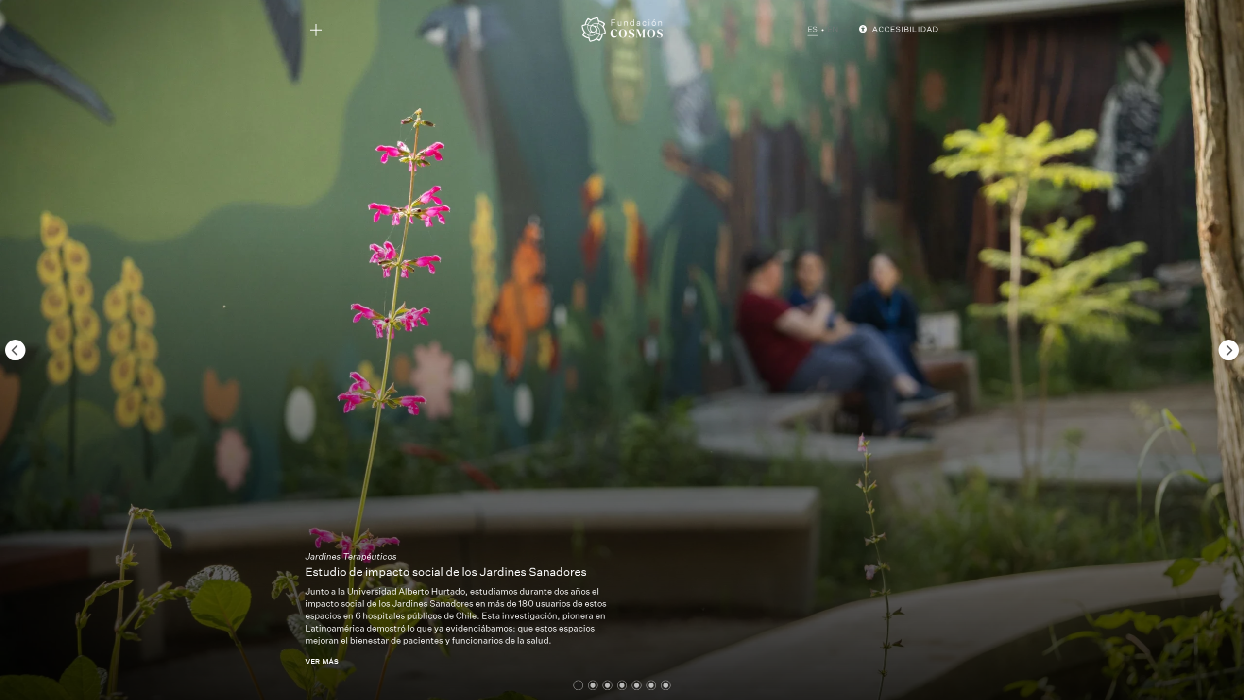 Desarrollo front-end fundación desarrollo de proyectos de arquitectura en el paisaje en Chile – Proyecto Fundación Cosmos desarrollado en WordPress